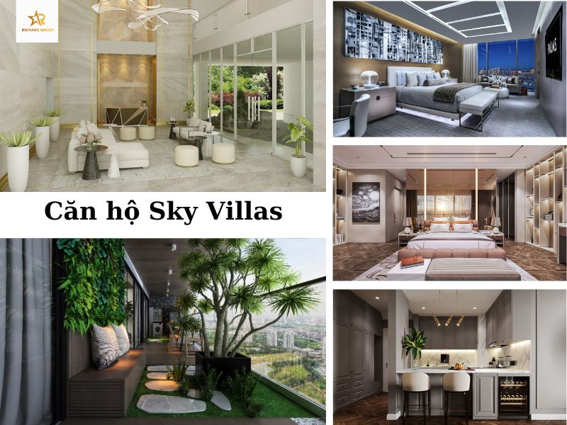 cho thuê căn hộ D-Homme Sky Villas